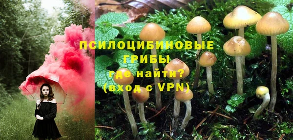 спиды Пенза