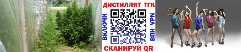 сколько стоит  Якутск  Дистиллят ТГК Wax 