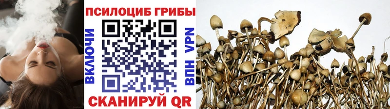 сколько стоит  Якутск  Галлюциногенные грибы Magic Shrooms 