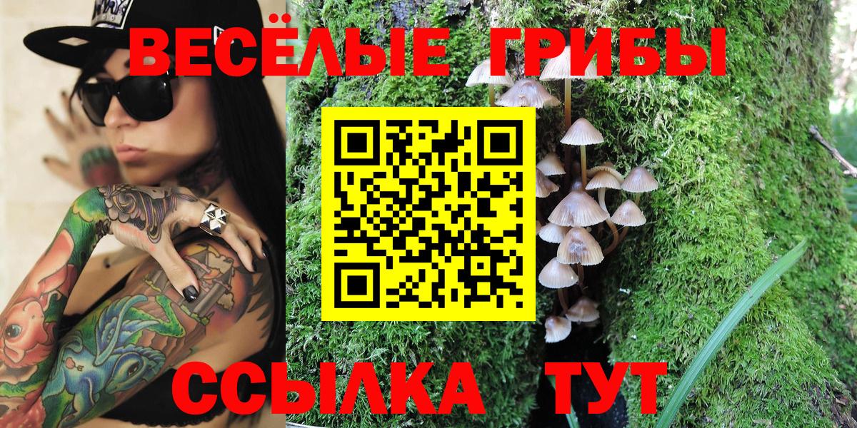 Галлюциногенные грибы мухоморы  Псилоцибиновые грибы Psilocybine cubensis  Якутск  Вход с VPN 